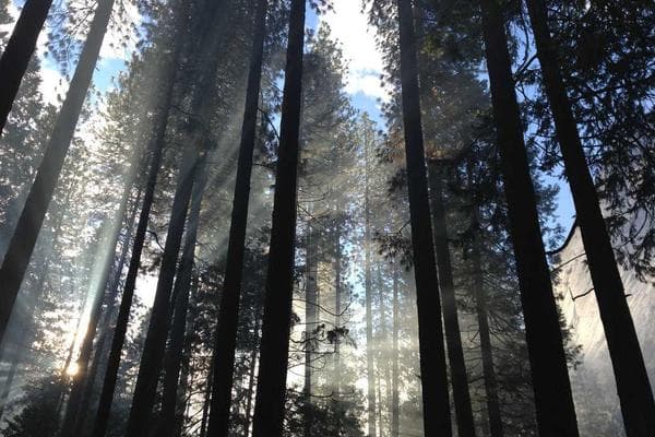 Fun Learning Environment